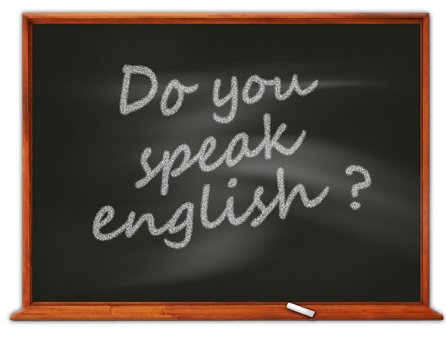 feature_do_you_speak_english